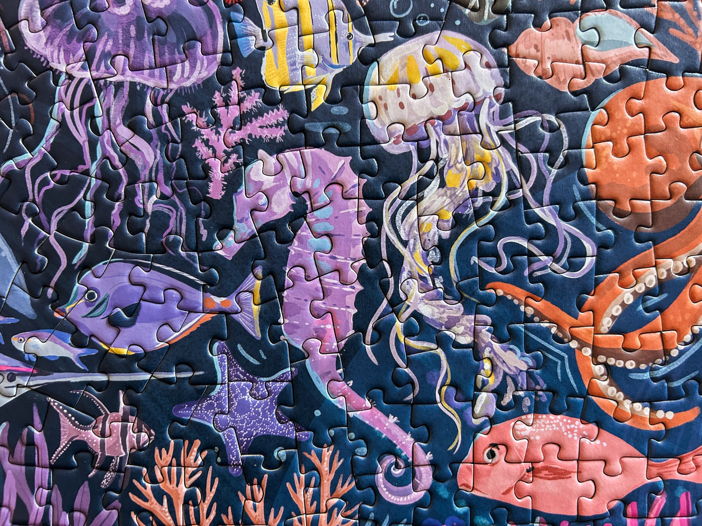 Ocean Creatures 1000 Pc Puzzle