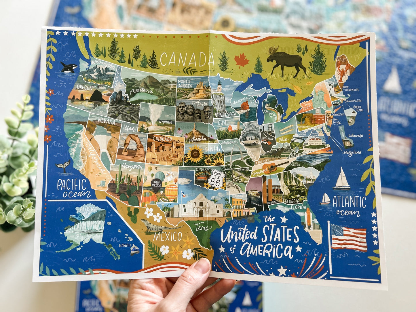 Nifty Fifty 1000 Pc Puzzle