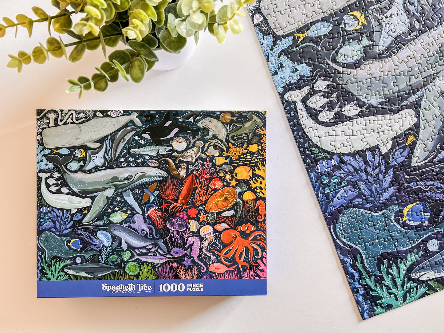 Ocean Creatures 1000 Pc Puzzle