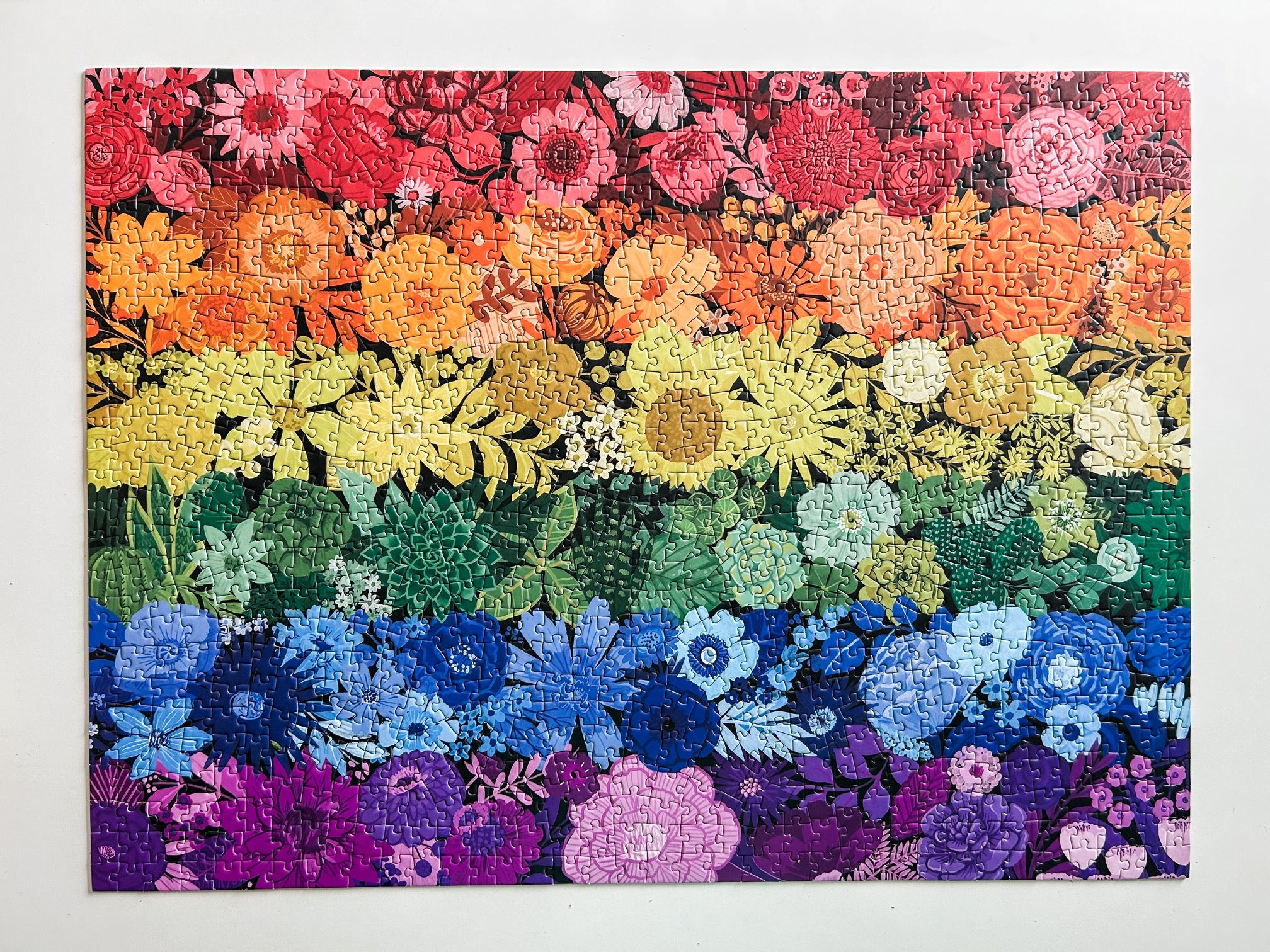 Rainbow Garden 1000 Pc Puzzle – Spaghetti Tree Puzzles and Games