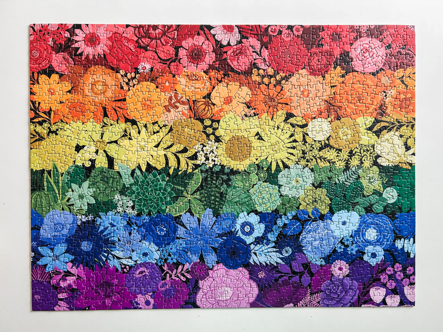 Rainbow Garden 1000 Pc Puzzle