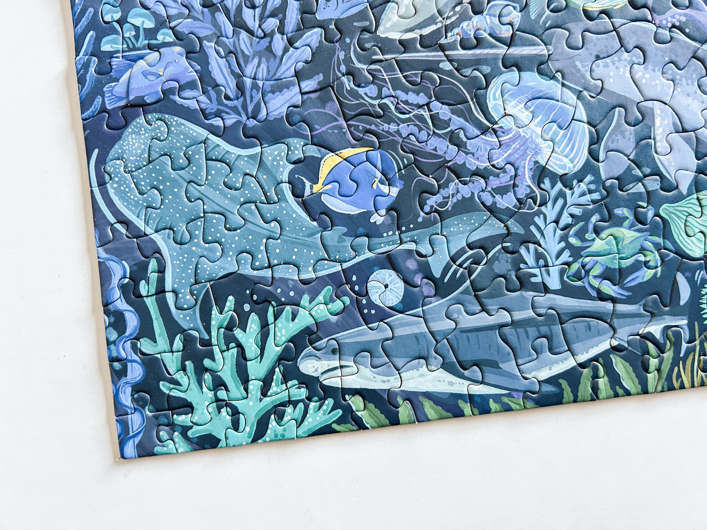 Ocean Creatures 500 Pc Puzzle *DAMAGED BOX*