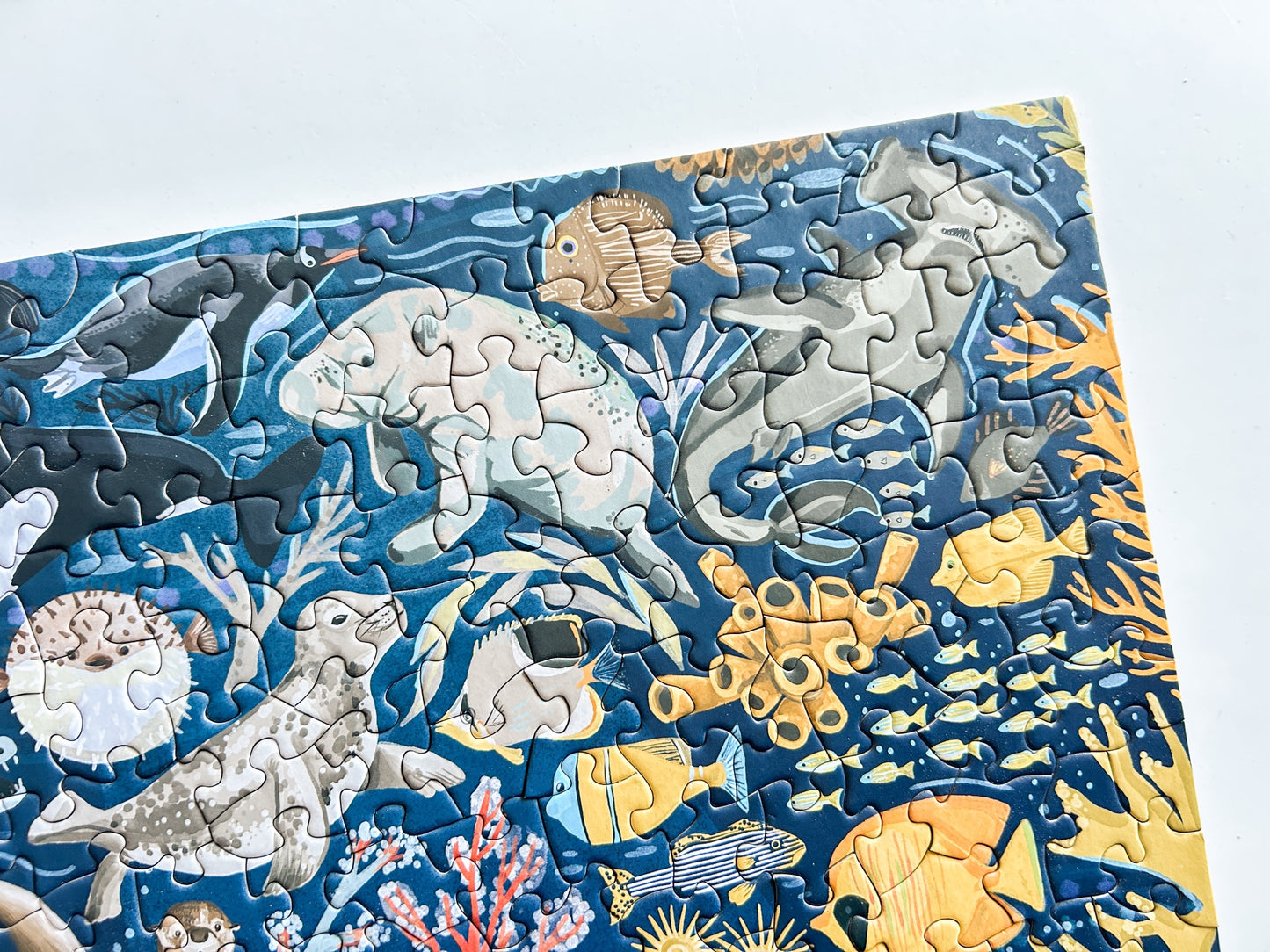 Ocean Creatures 500 Pc Puzzle *DAMAGED BOX*