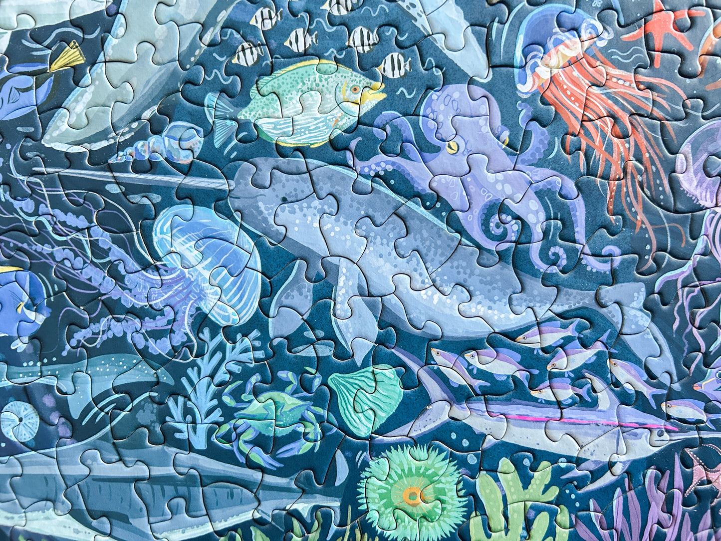 Ocean Creatures 500 Pc Puzzle *DAMAGED BOX*