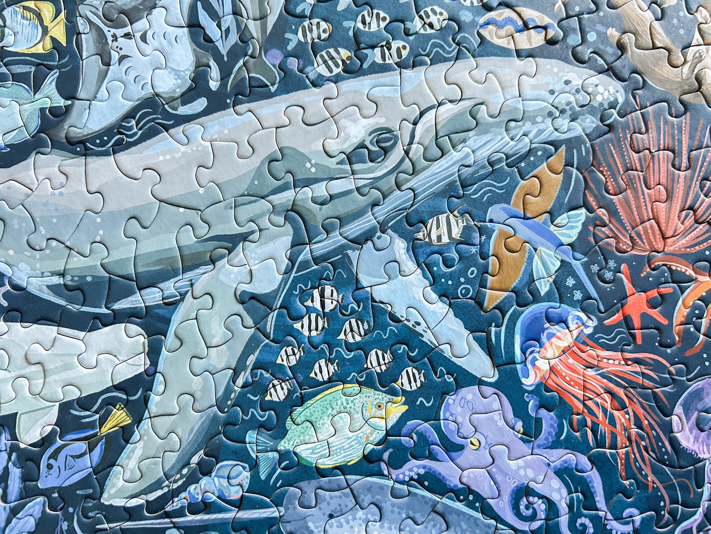 Ocean Creatures 500 Pc Puzzle *DAMAGED BOX*