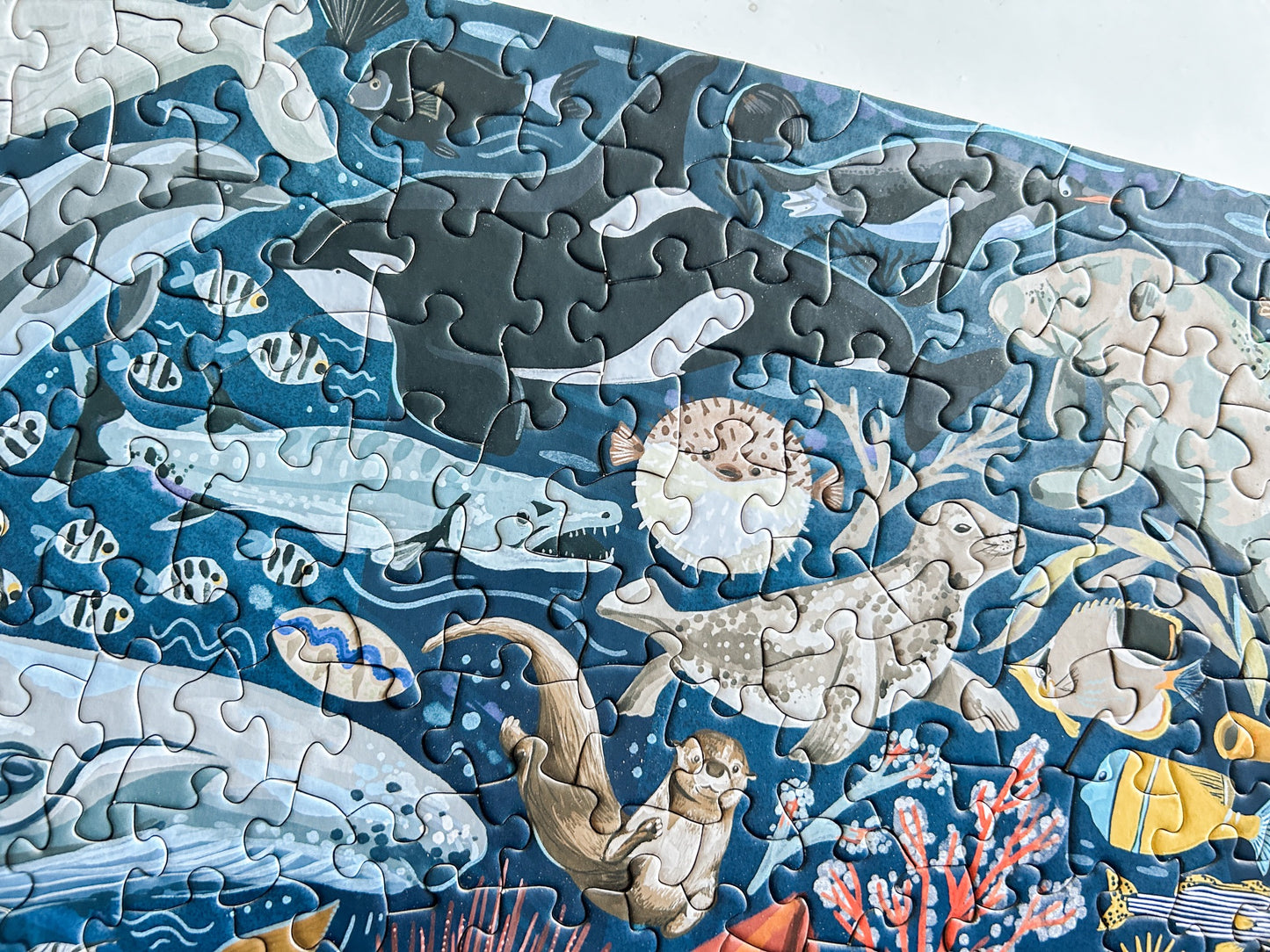 Ocean Creatures 500 Pc Puzzle *DAMAGED BOX*