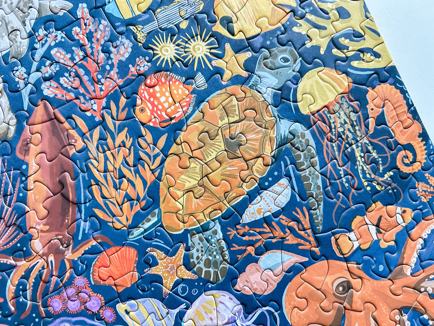 Ocean Creatures 500 Pc Puzzle *DAMAGED BOX*