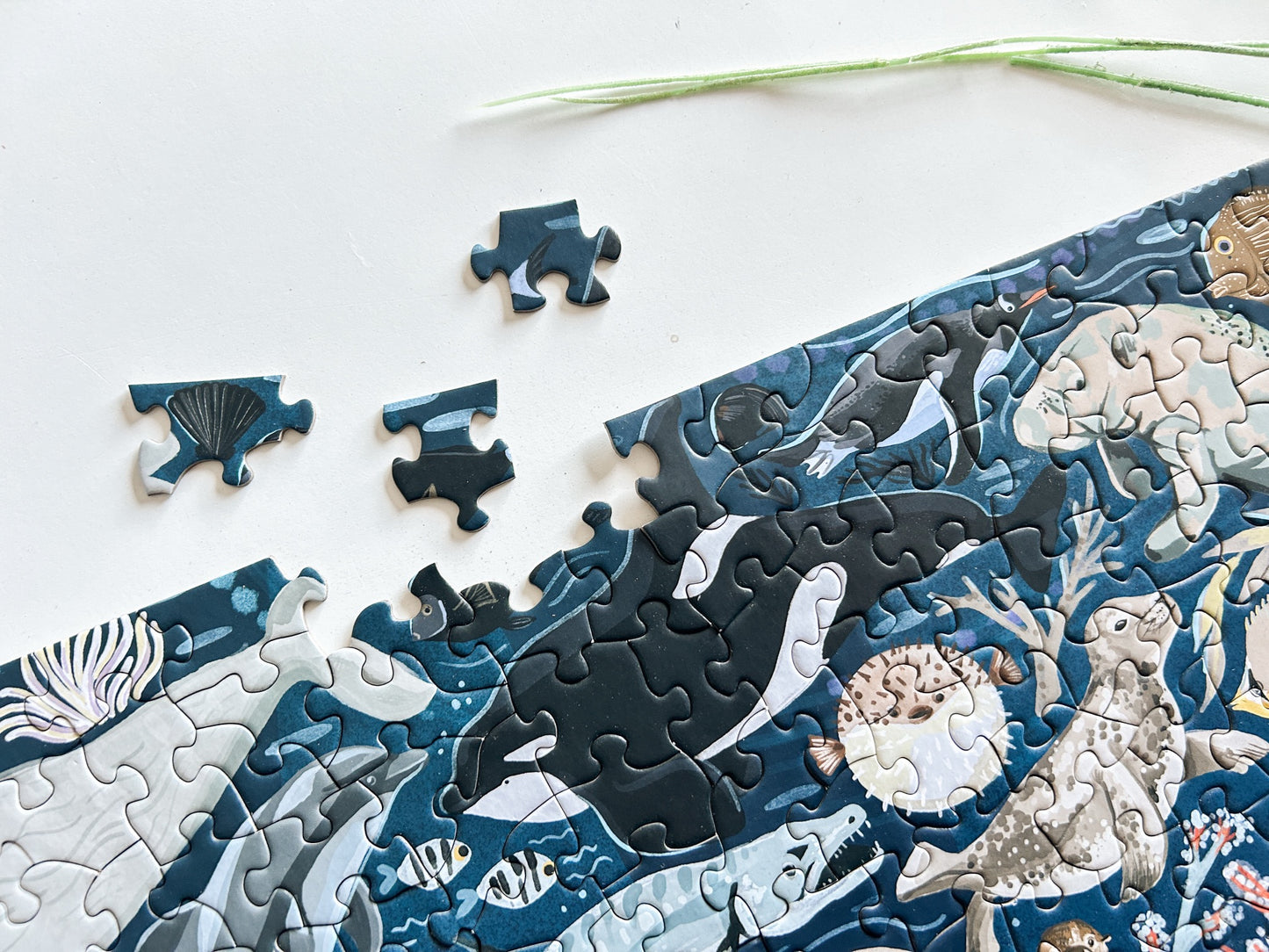 Ocean Creatures 500 Pc Puzzle *DAMAGED BOX*